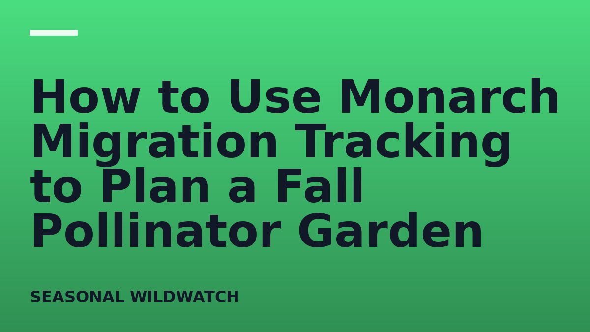 How to Use Monarch Migration Tracking to Plan a Fall Pollinator Garden