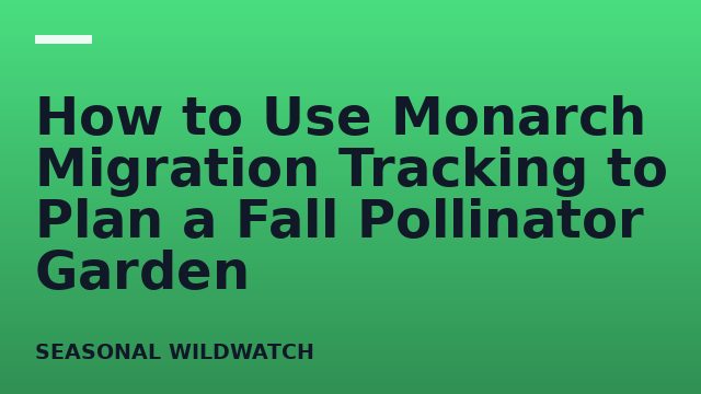 How to Use Monarch Migration Tracking to Plan a Fall Pollinator Garden